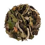 Evasion Pêche-Passion – Image 2