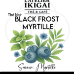 Black Frost Myrtille