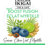 Boost Fusion Eclat Myrtille