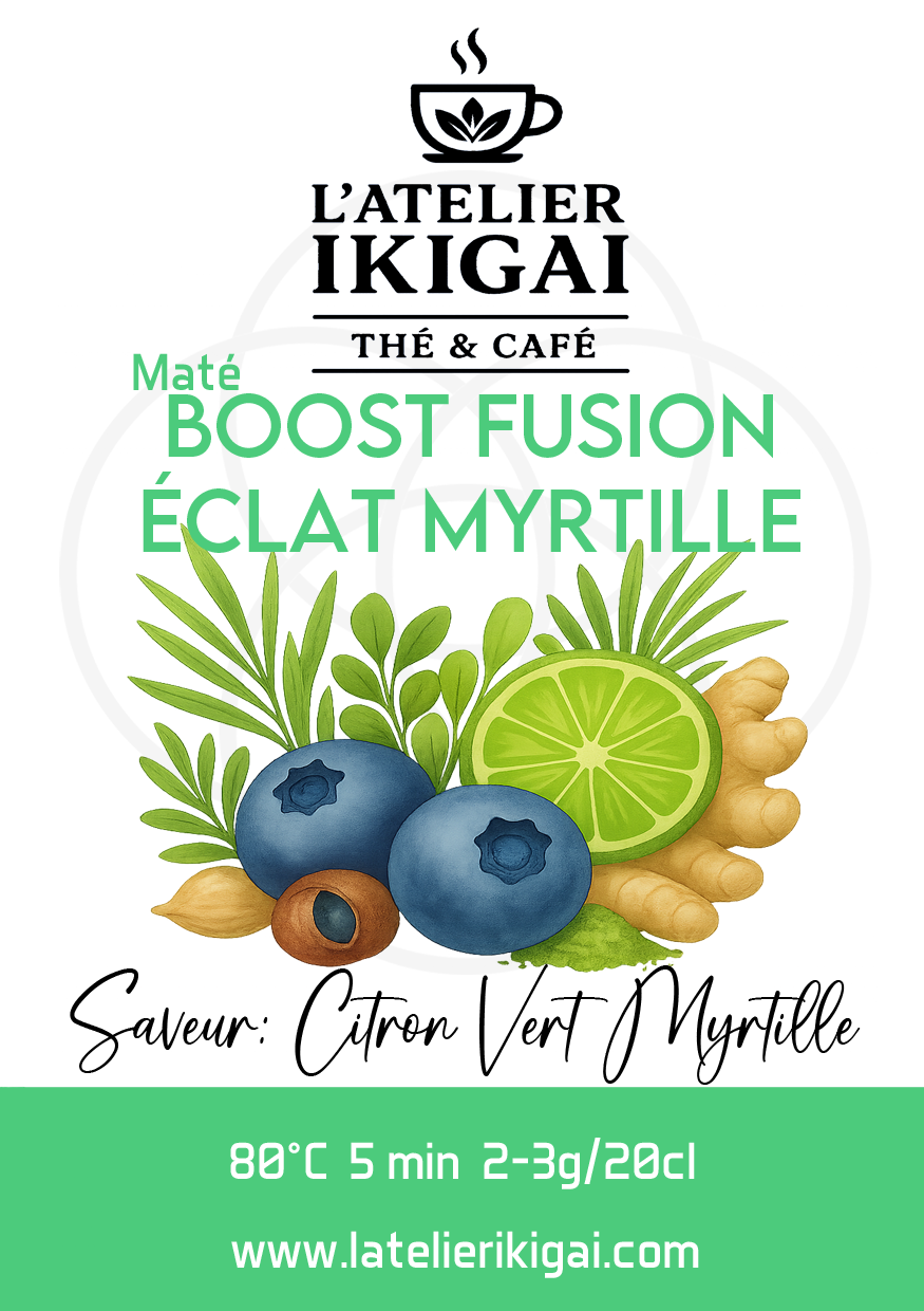 Boost fusion – vrac Boost Fusion Eclat Myrtille – Image 1