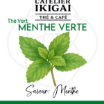 Menthe Verte