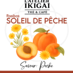 Soleil De Pêche