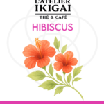 Fleurs d'hibiscus