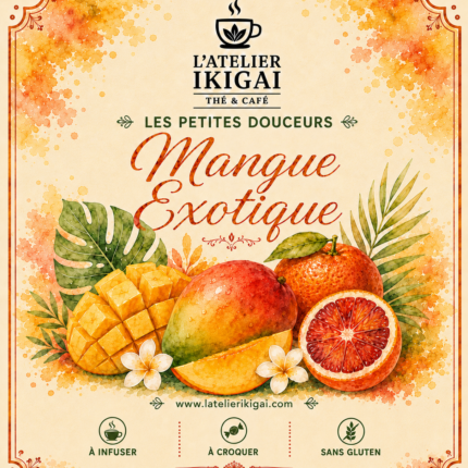 Mangue Exotique – Les Petites Douceurs de L’Atelier Ikigai