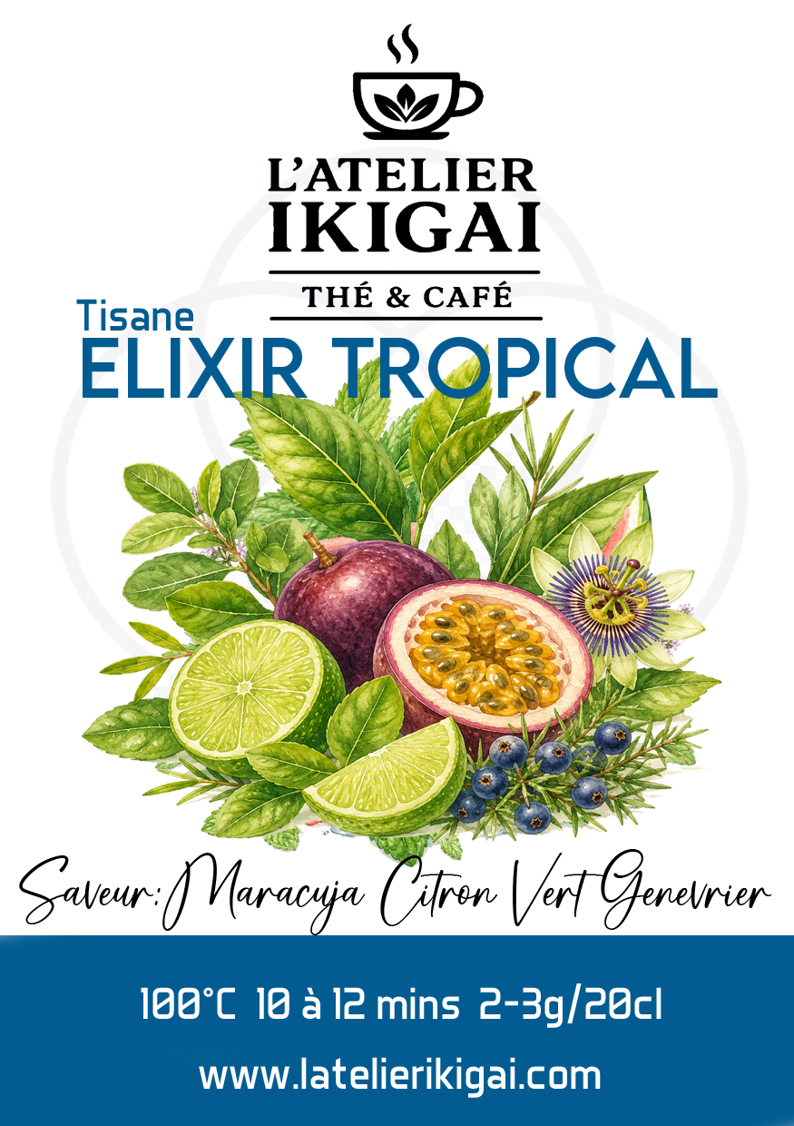 Élixir Élixir – L’atelier Ikigai
