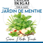 Jardin de Menthe – L’atelier Ikigai