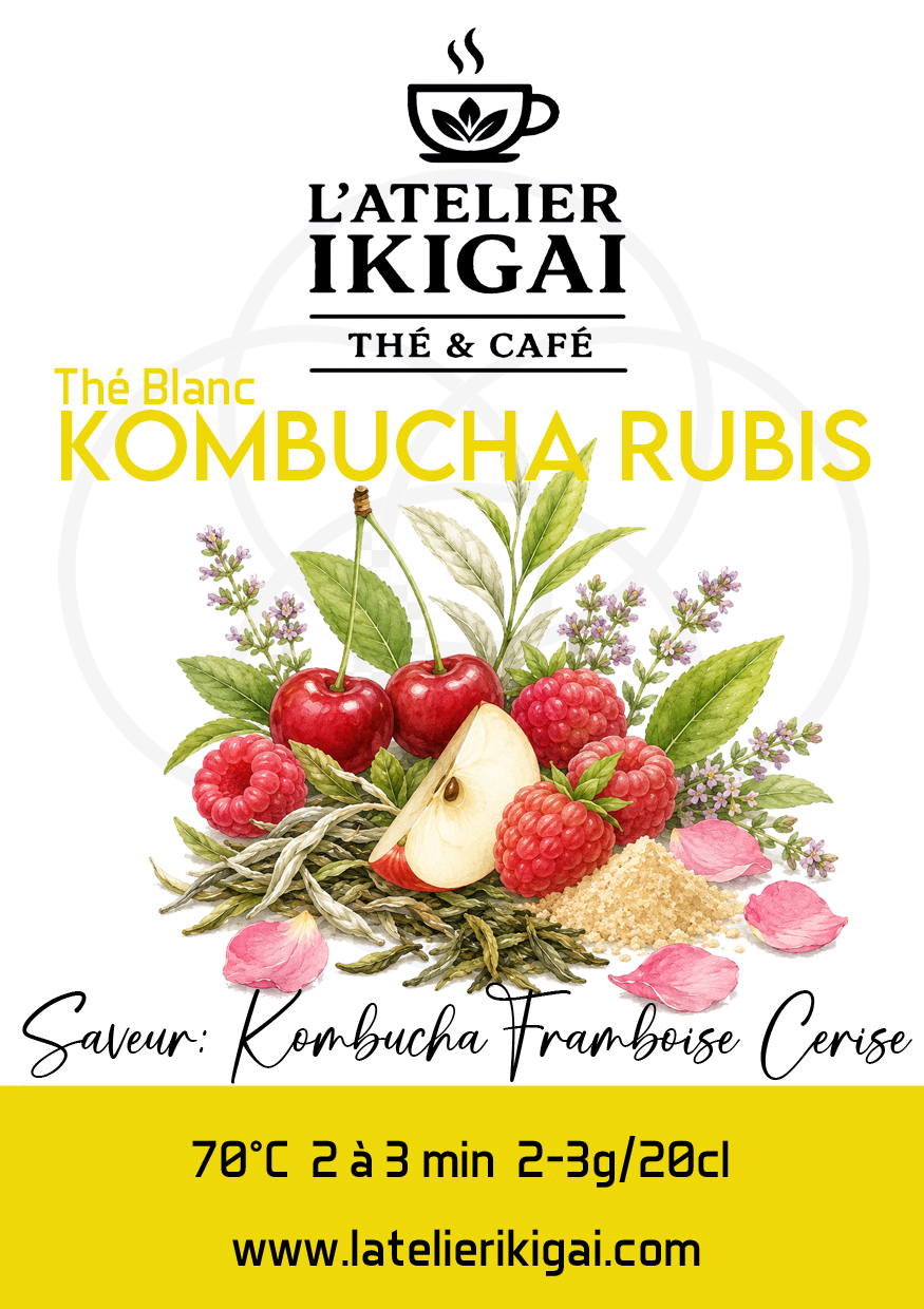 Kombucha Rubis Kombucha Rubis — L’Atelier Ikigai