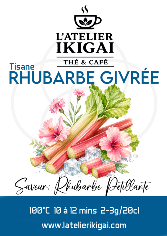 Rhubarbe – L’atelier Ikigai
