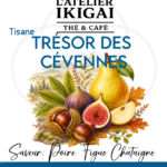 Trésor – L’atelier Ikigai